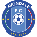 Avondale Football Club Youth