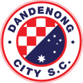 Dandenong City Youth