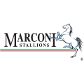 Marconi Stallions FC