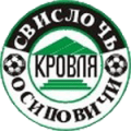 FK Osipovichi