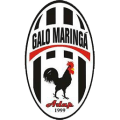 Adap Galo Maringá Football Club/PR