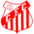 Capivariano Futebol Clube/SP Youth