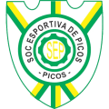 Sociedade Esportiva Picos/PI Youth