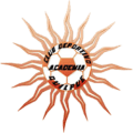 Club Deportivo y Social Academia Quilpué