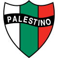 Club Deportivo Palestino