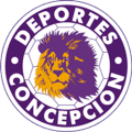 Club Deportes Concepción Youth