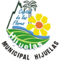 Club de Deportes Municipal Hijuelas