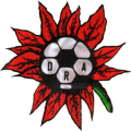 Selección de San Pedro de Atacama