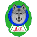 Qinghai Province Youth Football Team