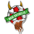 Navi Vutiselts