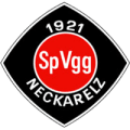 Spielvereinigung Neckarelz e.V.