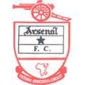 Berekum Arsenal Football Club