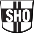 VV Steeds Hooger Oud-Beijerland