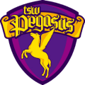 Hong Kong Pegasus Football Club Limited