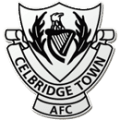 Celbridge Town FC