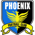 Phoenix F.C. Navan Road Dublin