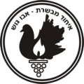 Hapoel Mevaseret Zion