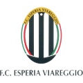 Società Sportiva Dilettanistica Viareggio 2014 Y