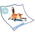 FK Gorno Lisice