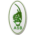 Association Sportive de Bamako