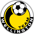 Team Wellington (defunct)