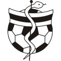 Koniński Klub Piłkarstwa Kobiecego Medyk Konin Women