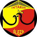 Pierwszy Klub Sportowy Ślęza Wrocław Women