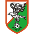 Sokół Kleczew