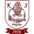 Wierzyca Pelplin