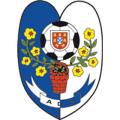 Associação Desportiva da Camacha