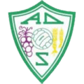 Associação Desportiva de Sátão