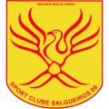 Sport Clube Salgueiros