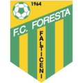 Foresta Fălticeni