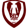 Hyundai Steel Red Angels Women