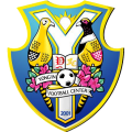 Yongin Citizen Football Club (defunct)