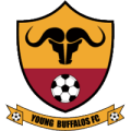 Young Buffaloes