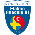 Malmö Anadolu BI