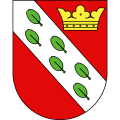 FC Herzogenbuchsee