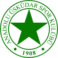 Anadolu Üsküdar 1908 Spor Kulübü Youth