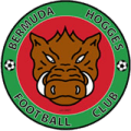 Bermuda Hogges