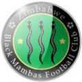 Black Mambas