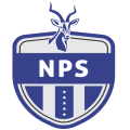 Ngezi Platinum Stars Football Club