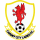 Cardiff City LFC (W)