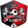 FC Fleury 91