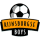 Rijnsburgse Boys
