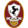 US Arezzo Youth