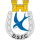 Dungannon Swifts