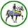 El Kanemi Warriors