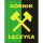 Górnik Łęczyca