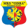 Odra Wodzisław Youth